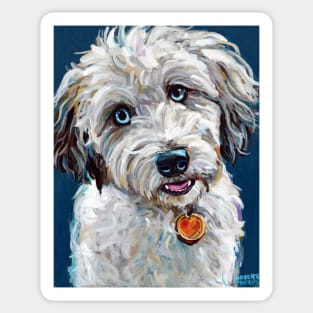 Cute Blue Eyed Aussiedoodle Sticker